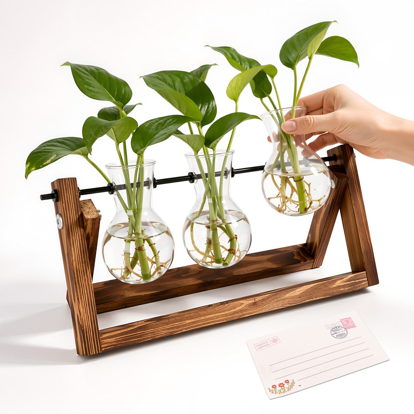 punada Propagation Vases, Plant Propagation Station with Wooden Stand and 3 Bulb Glass Vases, Hydroponic Plant Terrarium Holder for Indoor Plants