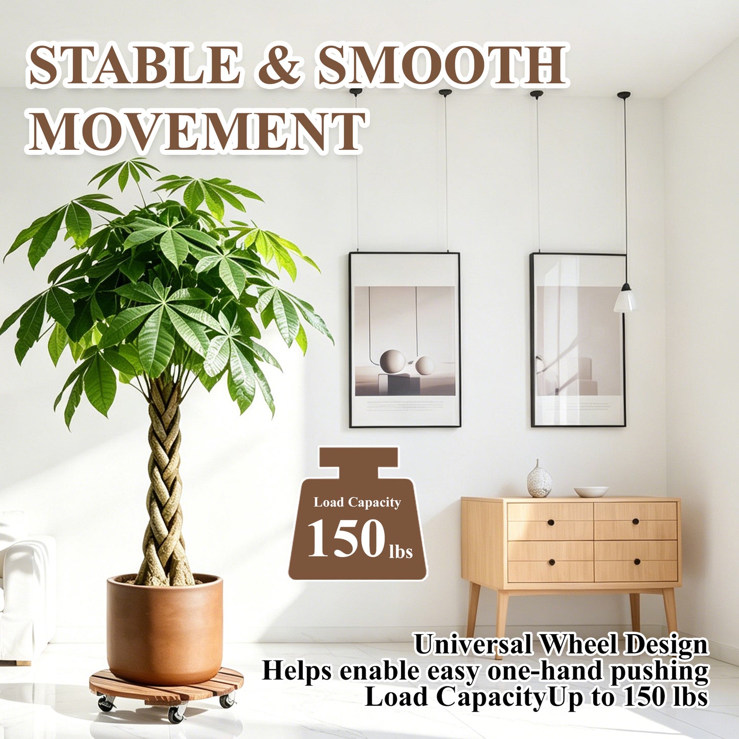 punada 2 Pack Plant Caddy with Wheels Heavy Duty, 12 Inch Wood Rolling Plant Stands with 360° Lockable Wheels, Plant Dolly for Indoor Outdoor Large Plant Pots, Flower Planters