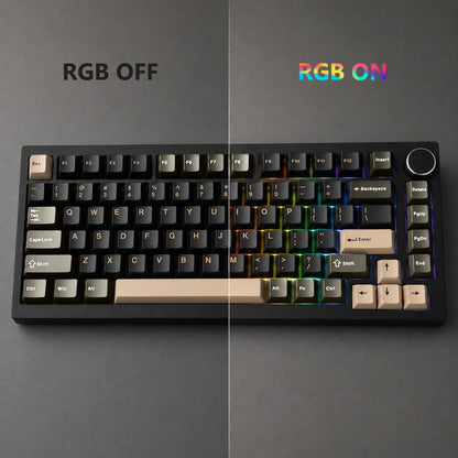 punada Double Shot PBT Keycaps Set, 128 Keys Retro Colorway Keyboard Keycaps, Compatible with 60 65 75 80 Percent and Full Size Gaming Mechanical Keyboard